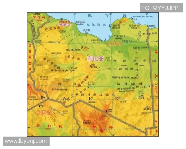 突尼斯与安哥拉的较量结果揭晓谁是胜者分析与回顾